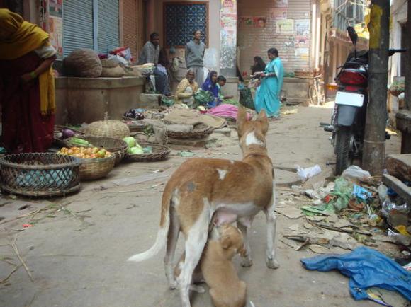 Streets of Varanasi